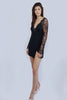 Black Plunging Long Sleeve Dress